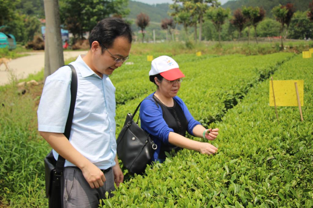 教师进农户，理论下基层——2026世界杯官网全体党员教师赴英山县乌云山村学习调研